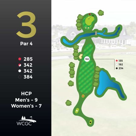Hole #3