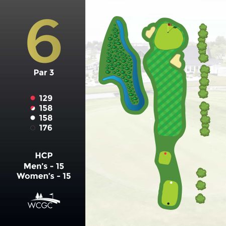 Hole #6