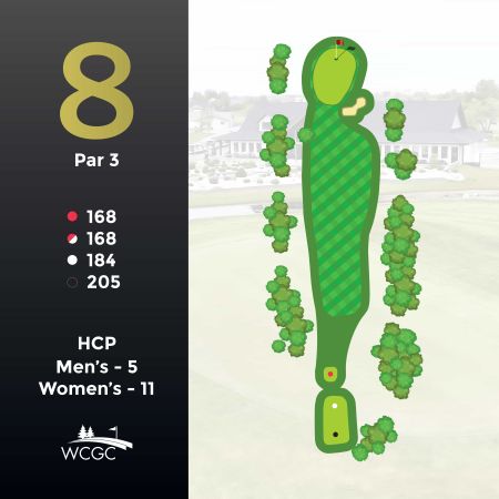 Hole #8